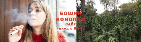 гашик Заводоуковск