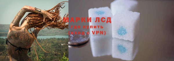 дмт Карпинск