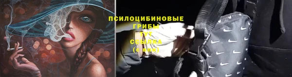 первитин Касимов