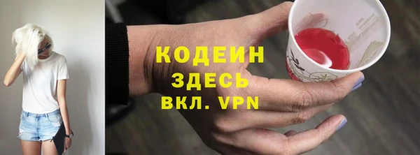 шишки Горнозаводск
