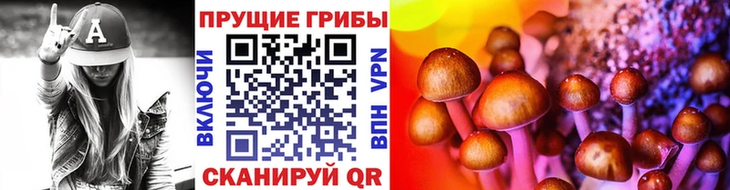 Псилоцибиновые грибы GOLDEN TEACHER  Павловская 